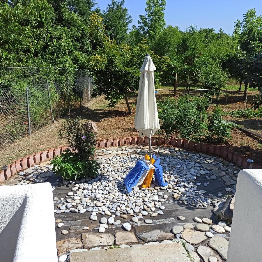 Εξοχική Κατοικία - Cottage Τίνα Líri المظهر الخارجي الصورة